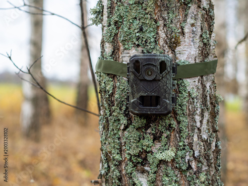 Trail camera mounted on a tree trunk in a forest, used for wildlife monitoring and nature observation. Camouflaged motion sensor camera attached with a strap outdoors in autumn woodland