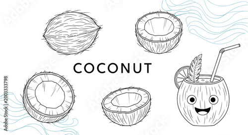 Set of coconut sketches featuring whole fruit, halves, and a tropical drink served in a coconut shell with a straw.