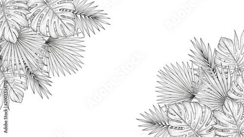 Black and white botanical border illustration featuring detailed hand drawn tropical leaves like monstera and palm on plain white background space.
