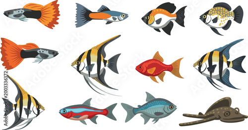 Freshwater Aquarium Fish Collection Set with Guppy, Angelfish, Goldfish, Neon Tetra, and Stingray for Marine and Pet DesignFreshwater Aquarium Fish 