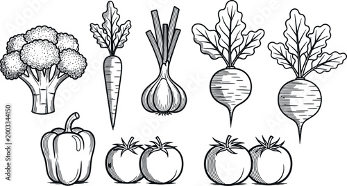 Vegetable icons including broccoli, carrot, onion, beetroot, pepper, and tomatoes