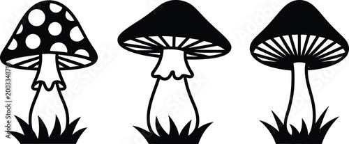 Mushroom, silhouette illustration set, black line contour vector drawings of fungi isolated on white background for nature botanical and organic design projects.