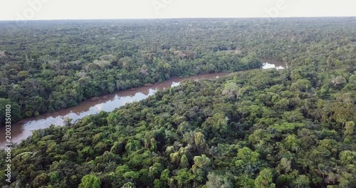 Aerial vertical ascent over Amazon rainforest revealing winding river meander near Iquitos Peru smooth drone shot 4K