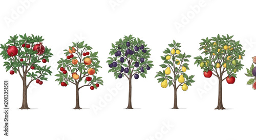 Fruites Fruit trees, colorful orchard, illustration set, 6 trees Vactor EPS