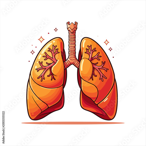 Clean and healthy human lung system detailed vector illustration for health design.