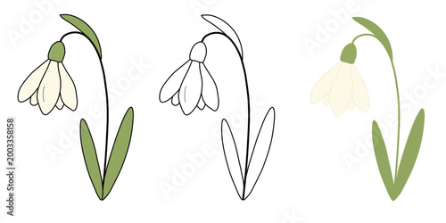 スノードロップの花のベクターイラスト3種類セット