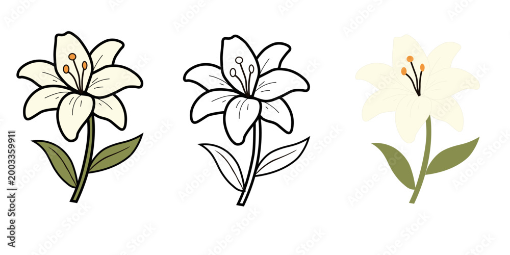Obraz premium 白い百合の花のベクターイラスト3種類セット