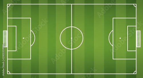 Top view of a professional soccer field with green grass texture.
