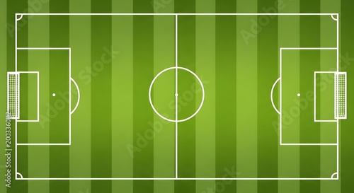Top view of a professional soccer field with green grass texture.