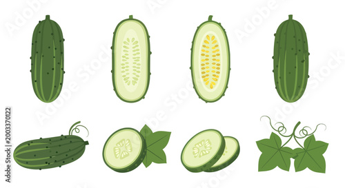Fresh cucumber slices and whole vegetables