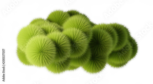 Abstract cluster of fuzzy green spheres with soft texture isolated on a white background for