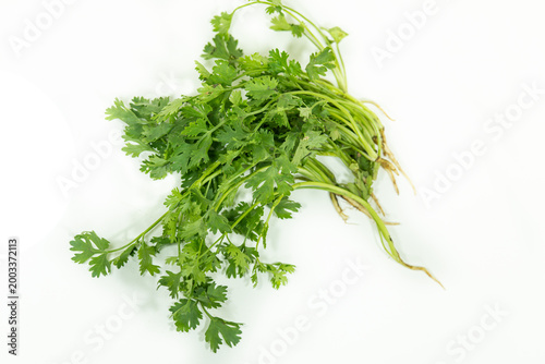 Foto Fresh green cilantro bunch with roots isolated on white background
