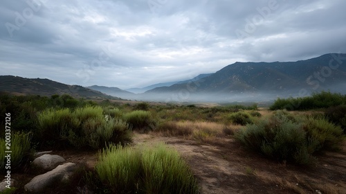 A vast and dramatic natural vista showing dry scrubland vegetation set against a receding layer of misty mountains beneath an overcast sky