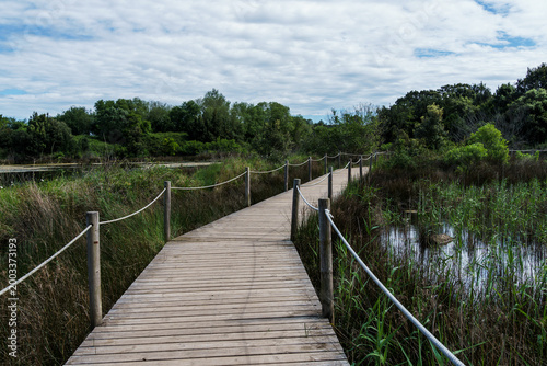 Wooden boardwalk and wetlands of Joyel in Cantabria, Spain, on a sunny day