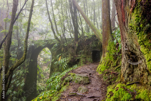 Walking south part of Sao Miguel biggest island of Azores
