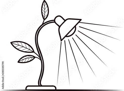 Line drawing of a plant growing under a lamp with sunlight rays  illustration