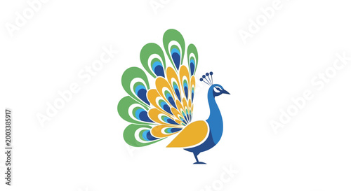 Vibrant peacock with colorful plumage display.