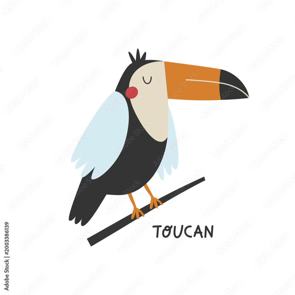 Obraz premium Toucan cute tripical bird