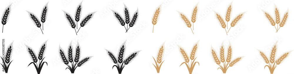 Fototapeta premium Wheat botanical icon set with black and golden cereal ear symbols. Natural grain stalks for organic farm and bakery design. Agriculture crop elements for healthy food and harvest graphics.