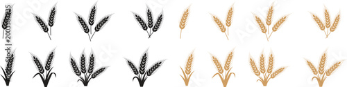 Wheat botanical icon set with black and golden cereal ear symbols. Natural grain stalks for organic farm and bakery design. Agriculture crop elements for healthy food and harvest graphics.