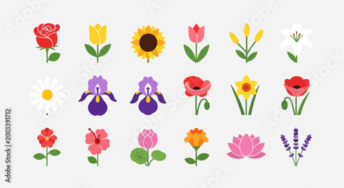 Colorful floral arrangement vector illustration