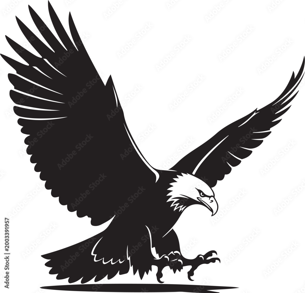 Fototapeta premium Black and white illustration of eagle landing with wings spread wide slowly