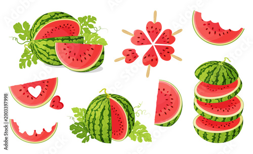 Watermelon big set with whole fruits, halves, slices, heart cut, and leaves. Hand drawn flat style. Fresh summer illustration isolated. For summer designs, food packaging, menus, posters, textiles.