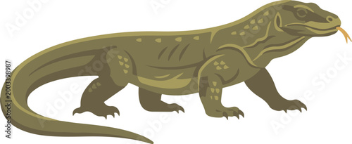Illustration of a Komodo dragon in side view, depicting a large monitor lizard in a simple and detailed vector style.
