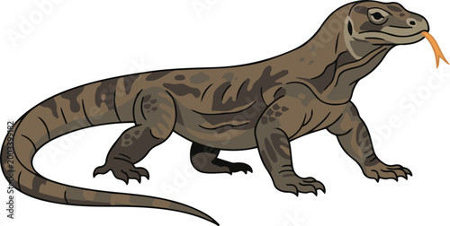 Tableau sur toile Illustration of a Komodo dragon in side view, depicting a large monitor lizard in a simple and detailed vector style