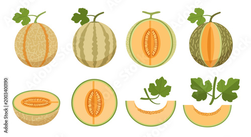 Fresh melon variety collection