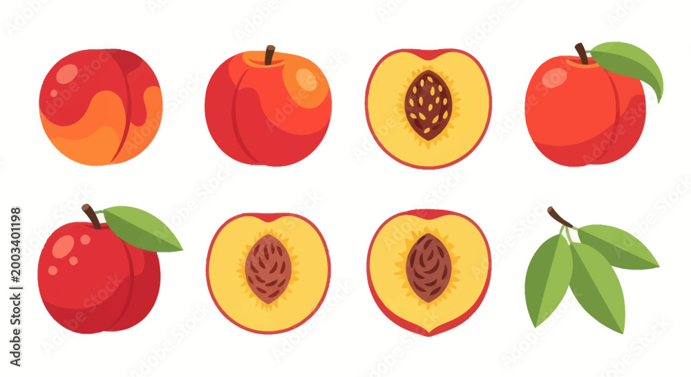 Naklejka premium Fresh peach collection illustration