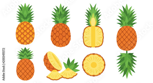 Fresh pineapple variety vector illustration