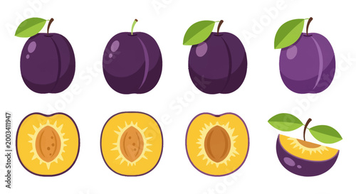 Fresh plums vector illustration