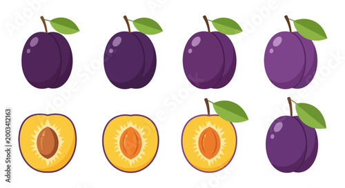 Fresh plums with leaves vector illustration