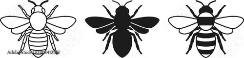 Three bee illustrations a black and white insect study