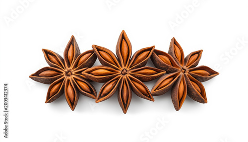   
Star anise spice pods isolated on white background vector illustration for culinary herbal cooking and natural design