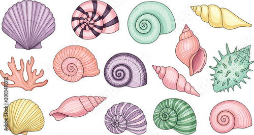 Seashells and Coral Set with Spiral, Conch, and Clam Shells Vector Illustration