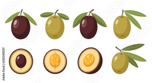 Olive collection isolated on white