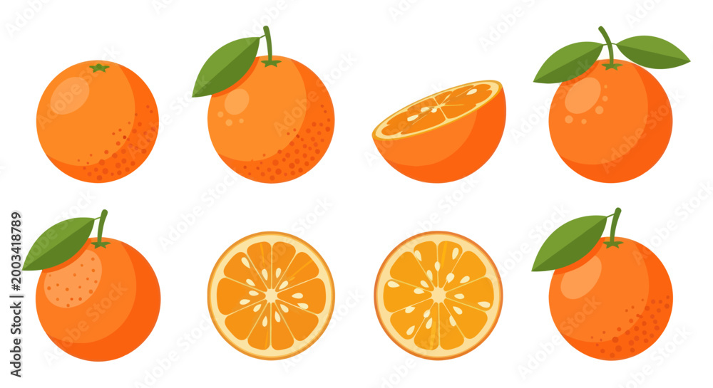 Obraz premium Orange fruit collection vector illustration