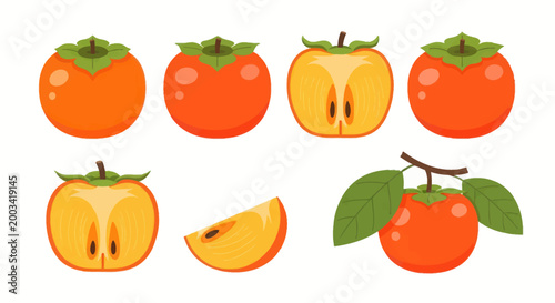 Photos Orange persimmon fruit collection illustration