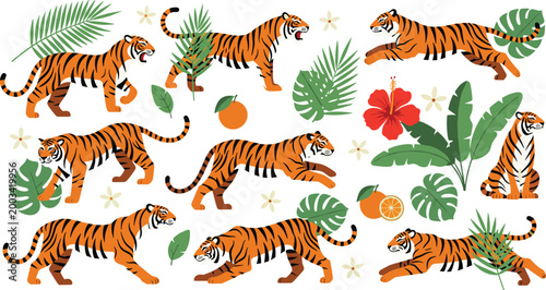 Tropical Tiger Set with Palm Leaves, Hibiscus Flowers, and Oranges Vector Illustration