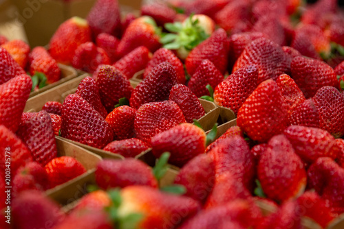 Bunches of Strawberries in cardboard baskets