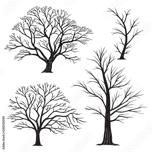 A set of vector tree silhouettes featuring black bare branches and leafless oak trunks designed for a winter forest nature illustration