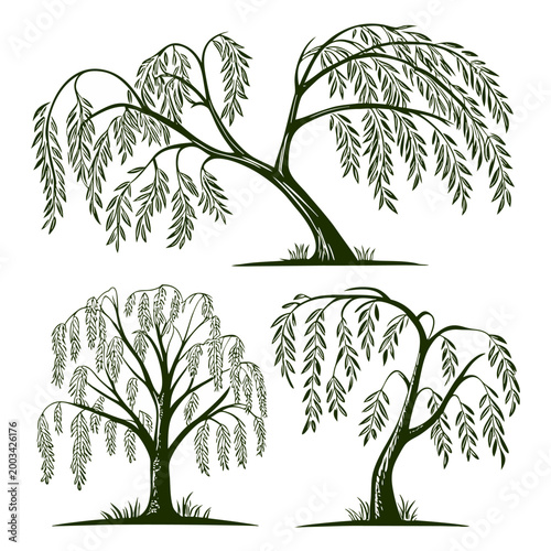 A comprehensive set of vector tree silhouettes and green leaf illustrations featuring tropical palm branches and floral nature patterns for summer forest foliage design