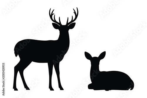Buck and doe deer silhouettes vector illustration with wildlife, illustration