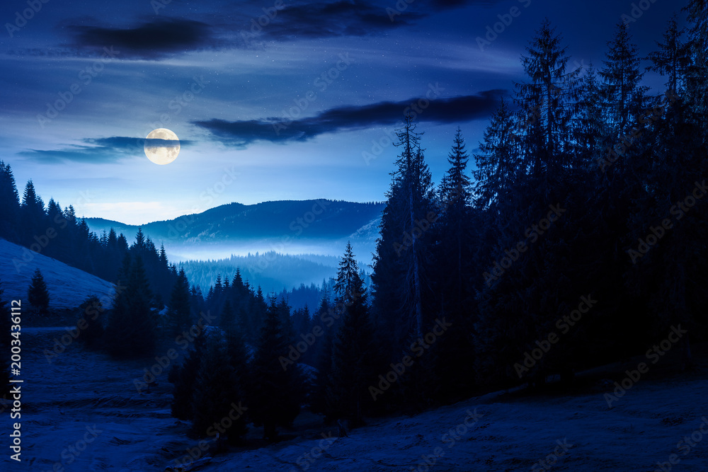 Obraz premium cold fog in the mountain valley at night. nature phenomenon over mysterious mountain landscape with coniferous forest. full moon over trees in misty nature background for halloween. view from a hill