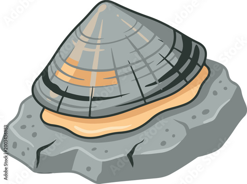 Illustration of a fossilized clam shell embedded in rock, representing prehistoric marine life and paleontological specimens.
