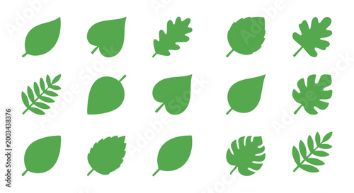 Collection of diverse green leaves a botanical illustration