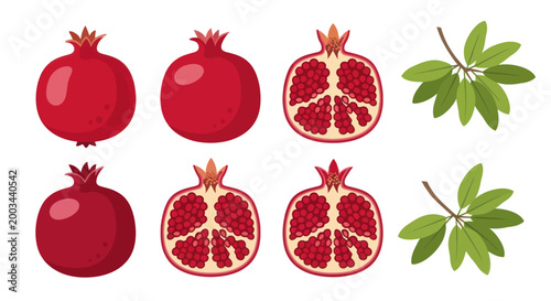 Vibrant pomegranate fruit vector illustration
