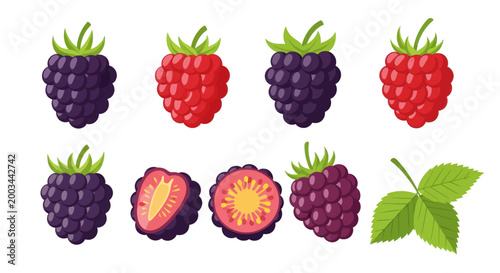 Obraz na płótnie Vibrant berries illustration